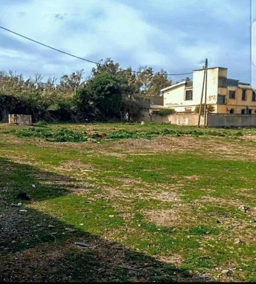 Vente Terrain Boumerdès Thenia