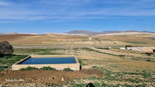 Vente Terrain Agricole Tissemsilt Layoune