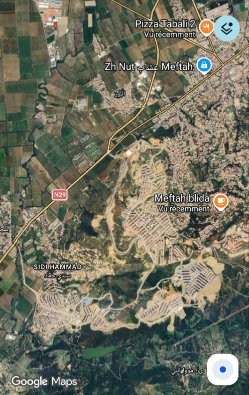 Vente Terrain Blida Meftah