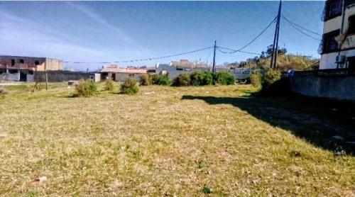 Vente Terrain Boumerdès Thenia