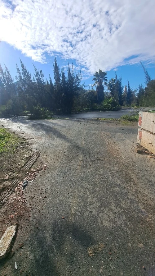 Vente Terrain Alger Bachdjerrah