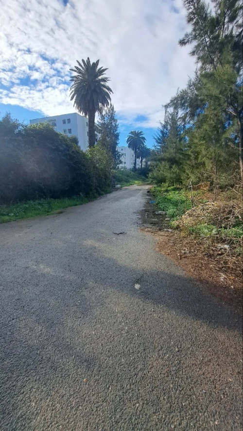 Vente Terrain Alger Bachdjerrah