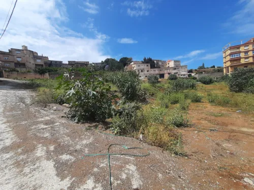Vente Terrain Alger Cheraga