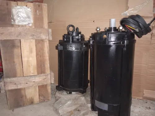 Pompe a eau Lubi 10chv avec corps 