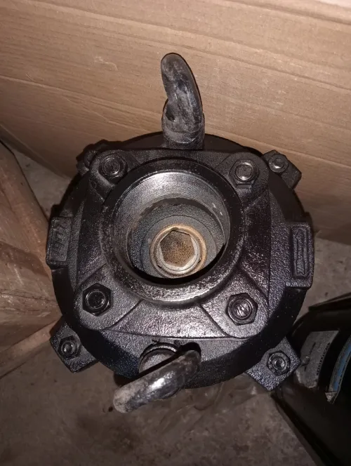Pompe a eau Lubi 10chv avec corps 