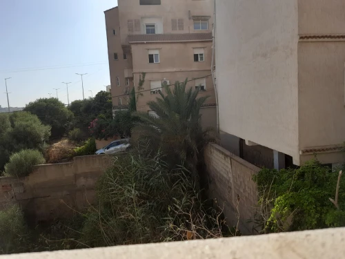 Vente Villa Alger Dely brahim