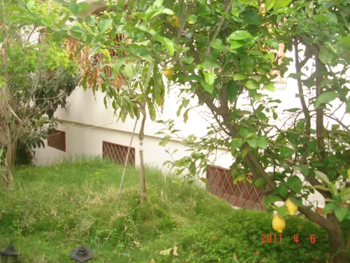 Vente Villa Alger Birkhadem