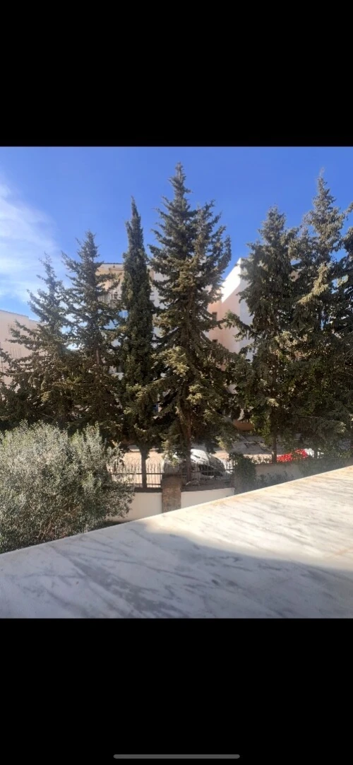 Vente Appartement F3 Alger Birkhadem