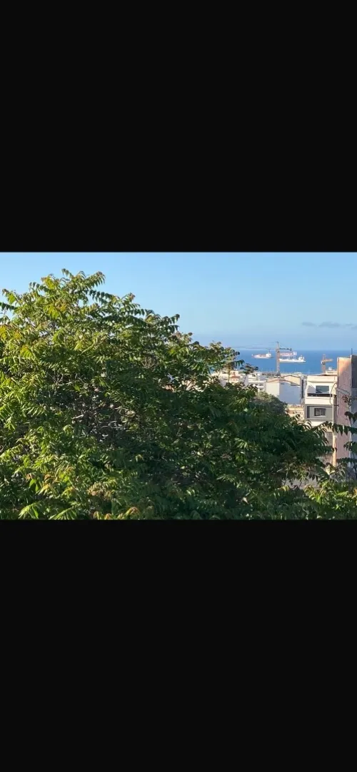 Vente Appartement F4 Alger Kouba