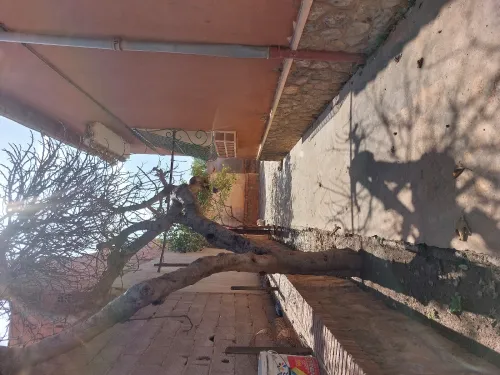 Vente Villa Aïn Témouchent El malah