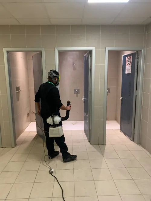 Dératisation Désinsectisation Dépigeonage