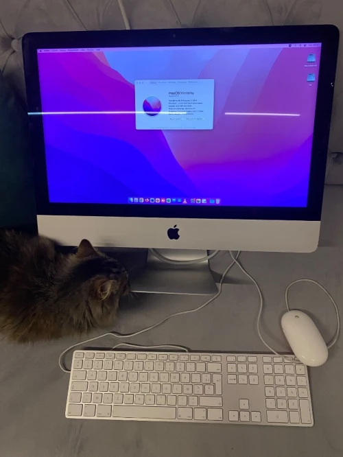 iMac 21.5 2015 4k 