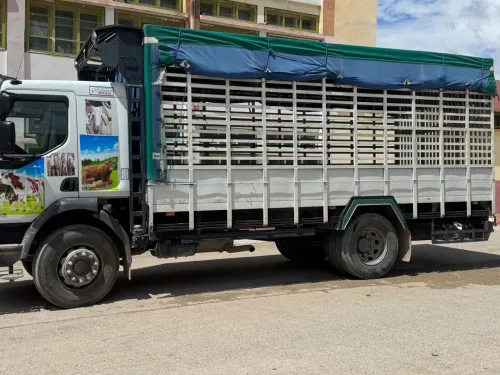 Renault Kirax 2013