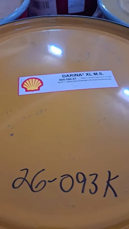 SHELL- Coquille Darina XL