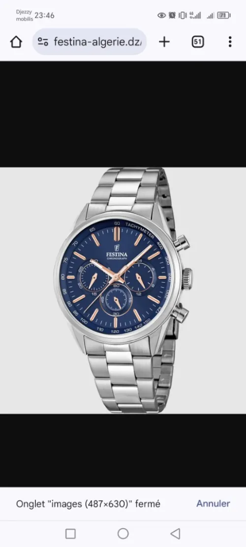 Festina+seiko+sturling