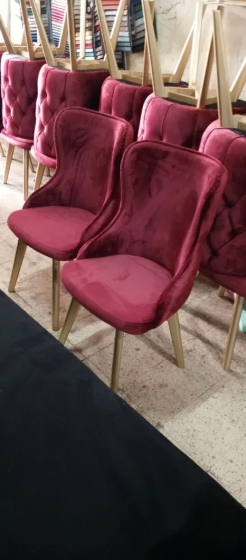 الجزائر