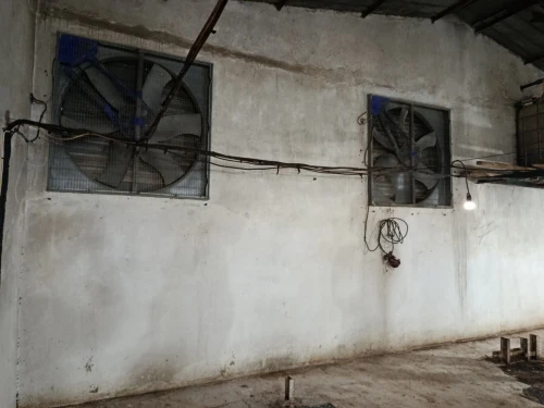 Vente Hangar Bouira Ath mansour taourirt