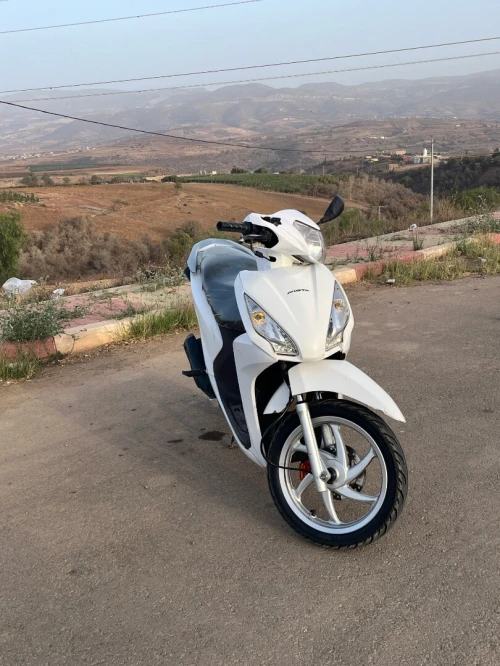 Pista Vision 2019