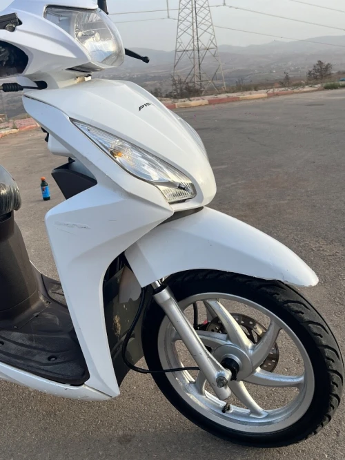 Pista Vision 2019
