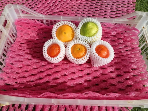Filet à fruits en mousse EPE:Protection fraîcheur, choix écoresponsable !