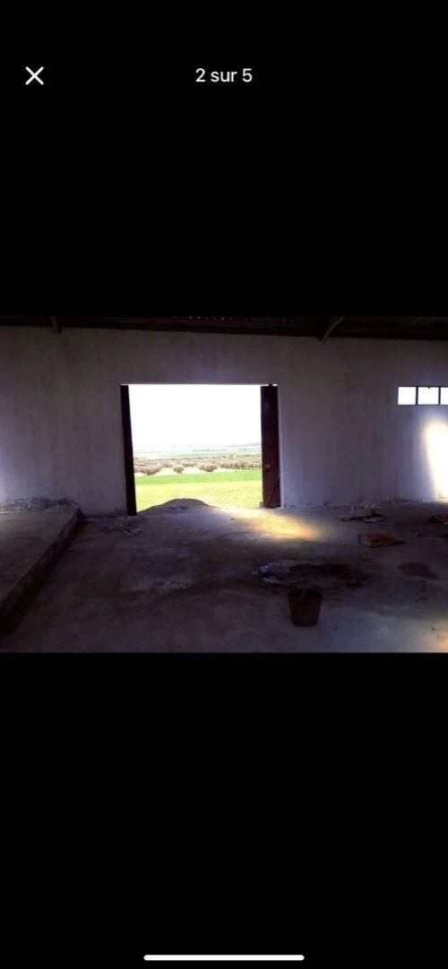 Location Hangar Sidi Bel Abbès Sidi bel abbes