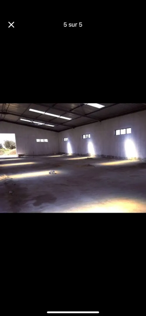 Location Hangar Sidi Bel Abbès Sidi bel abbes