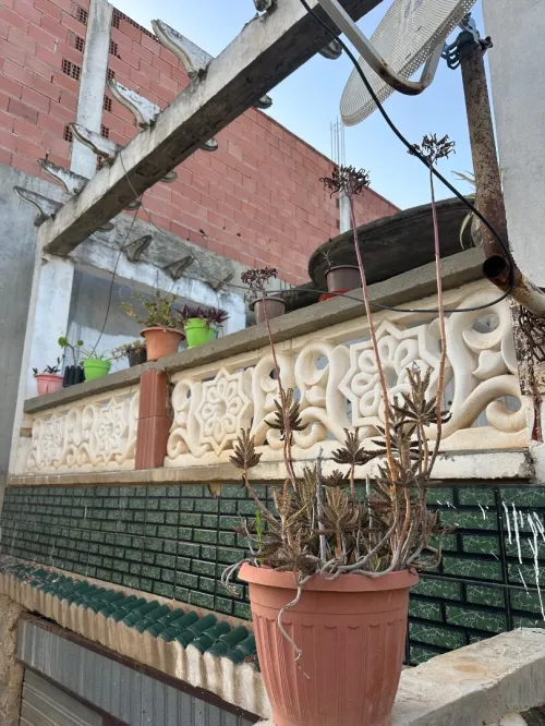 Vente Villa Guelma Bouchegouf