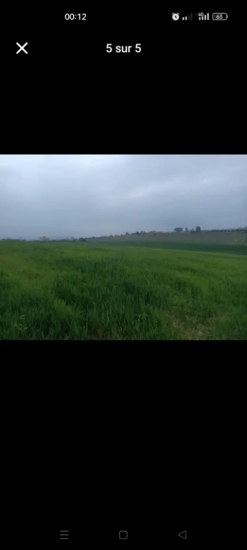 Vente Terrain Boumerdès Leghata