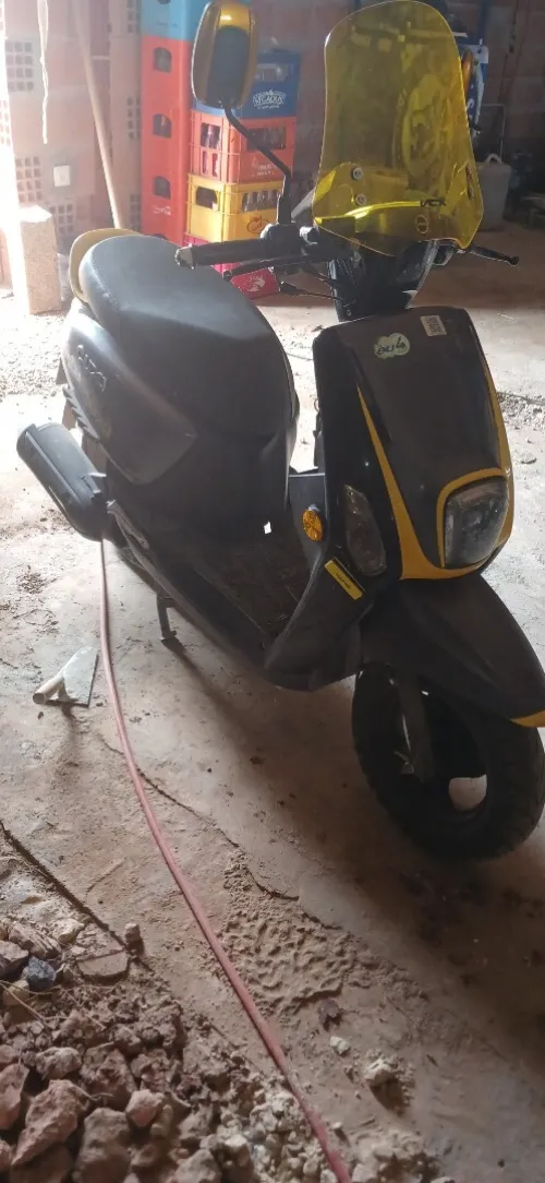 Curious VMS Cuxi 2023