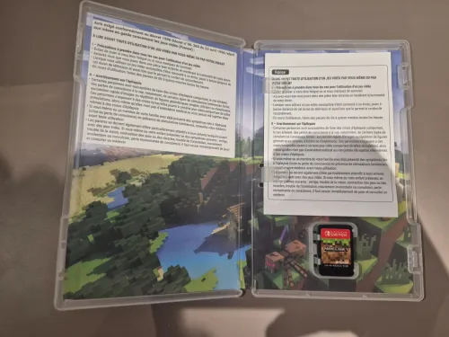 Minecraft switch