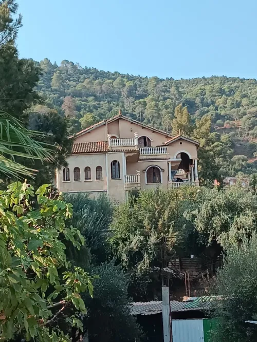 Vente Villa Blida El affroun