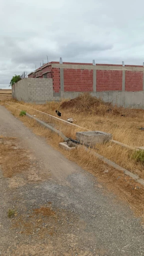Vente Terrain Mila Grarem gouga
