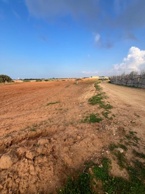 Vente Terrain Mostaganem Sidi lakhdaara