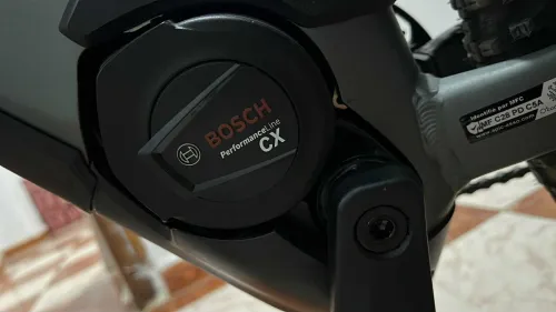 COBe XL 2024