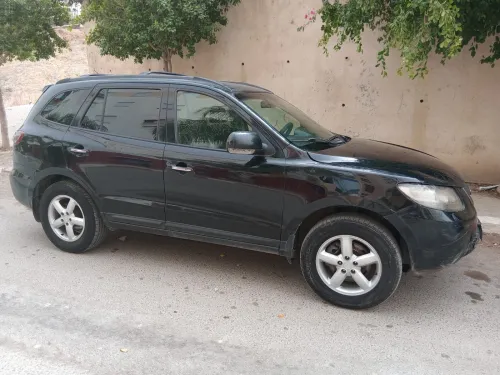 Hyundai SantaFe 2009 SantaFe