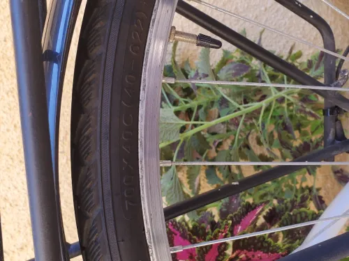 Velo