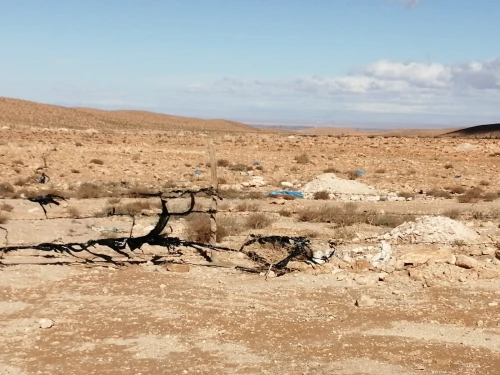 Vente Terrain M'Sila Oultene