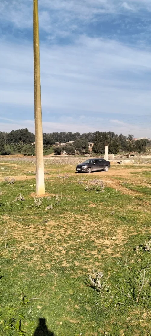 Vente Terrain Tipaza Kolea