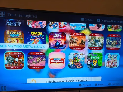 Nintendo Switch flachè