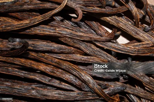 Vanilla 