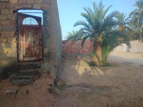 Vente Villa Touggourt Nezla