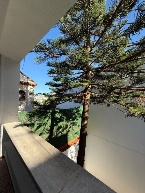 Location Villa Alger Kouba