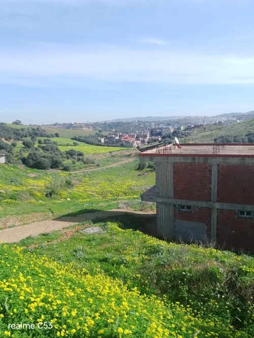 Vente Terrain Boumerdès Boudouaou