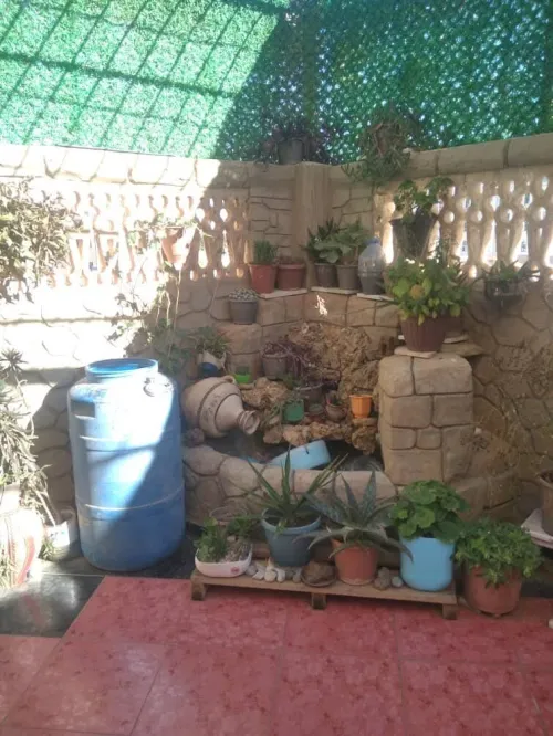 Vente Appartement F3 Batna Oued chaaba