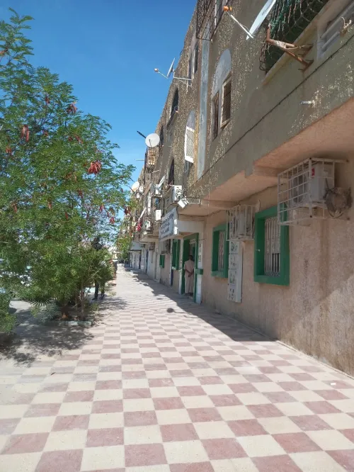 Vente Appartement F3 Biskra Biskra