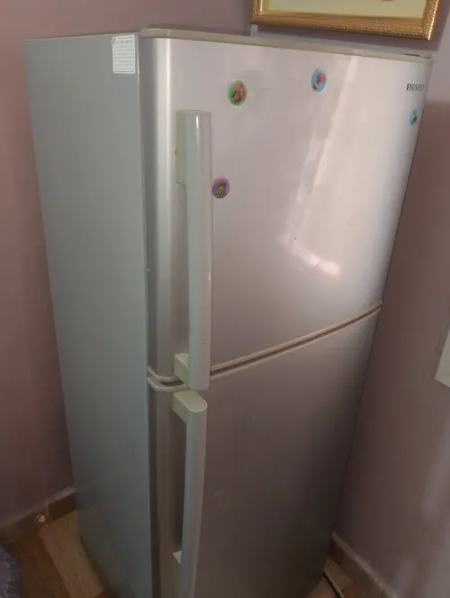 Frigidaire Samsung 500L