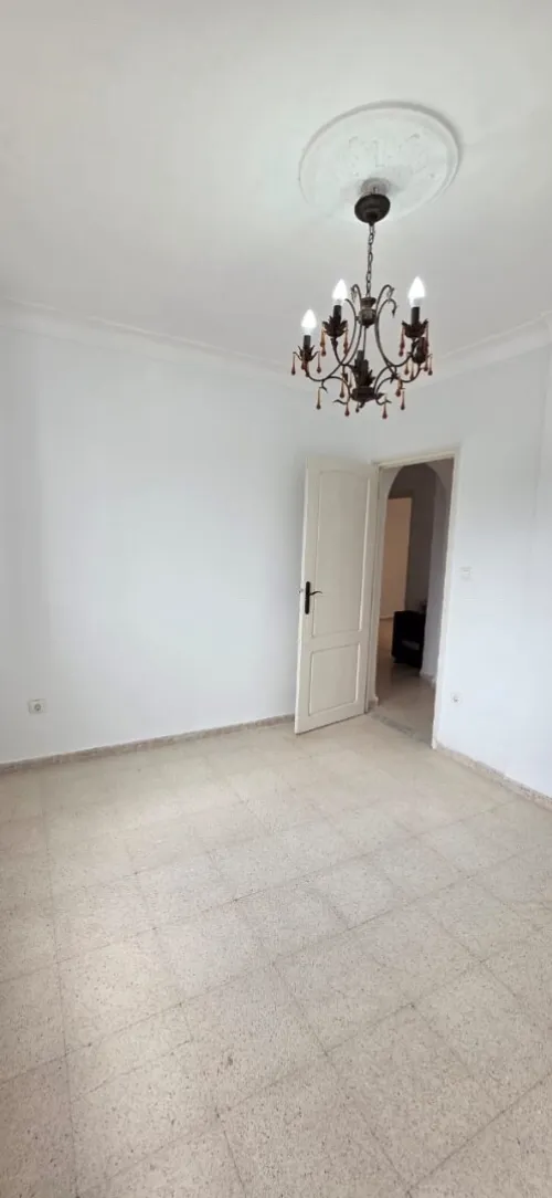 Location Appartement F3 Alger Said hamdine