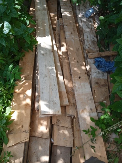 Bois de coffrage حطب كوفراج