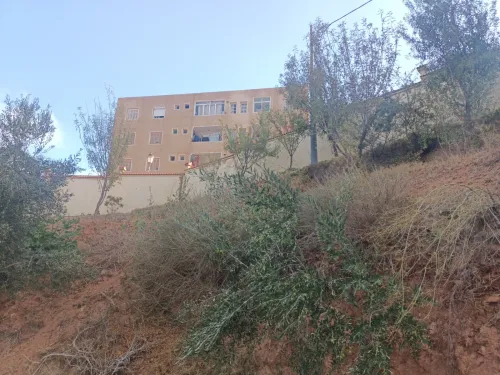Vente Terrain Tlemcen Nedroma