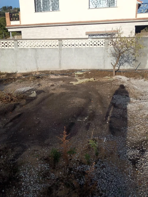 Vente Terrain Tipaza Larhat